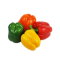Болгарский перец