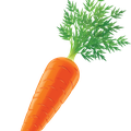 Морковь